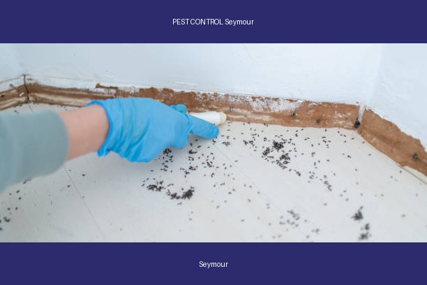 PEST CONTROL Seymour